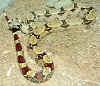 Обыкновенный удав (Boa constrictor constrictor). Англ: Boa constrictor, True redtail boa