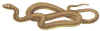 Желтобрюхий полоз (Coluber jugularis). Англ: Steppe ribbon snake