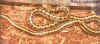 Узорчатый полоз (Elaphe dione). Англ: Steppes ratsnake