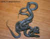 Закавказкий полоз (Elaphe hohenackeri). Англ: Transcaucasian ratsnake. Молодь