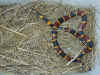 Арлекиновый или Восточный аспид (Micrurus fulvius fulvius). Англ: Eastern coralsnake